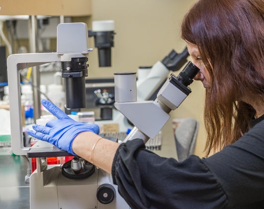 woman inspecting specimen in microscope
