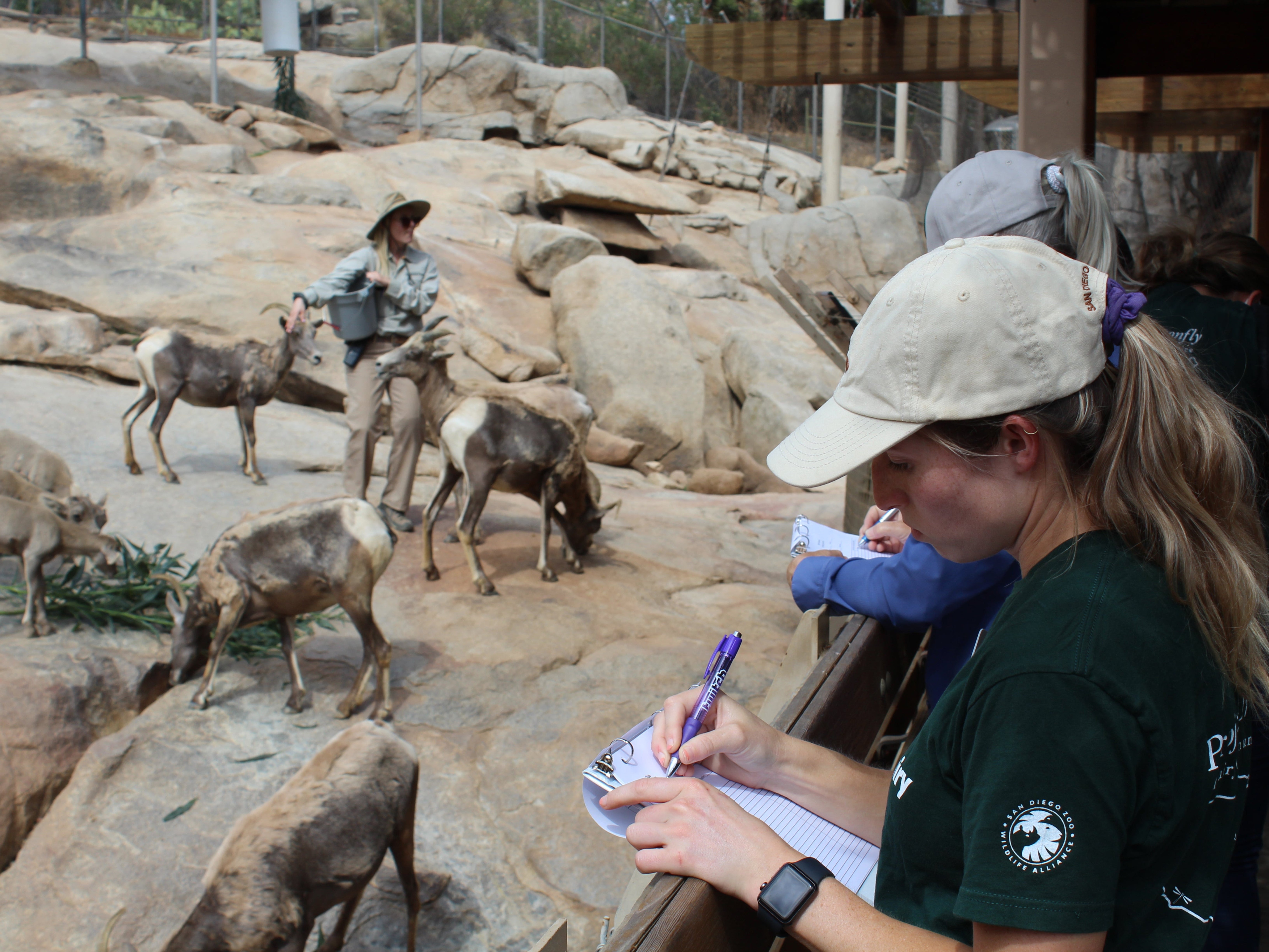 Wildlife specialist giving lesson