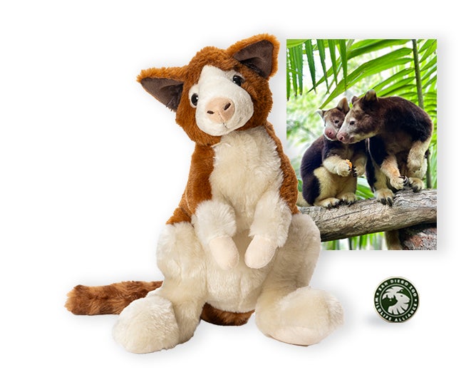 $100 Matschie's Tree Kangaroo Adoption 