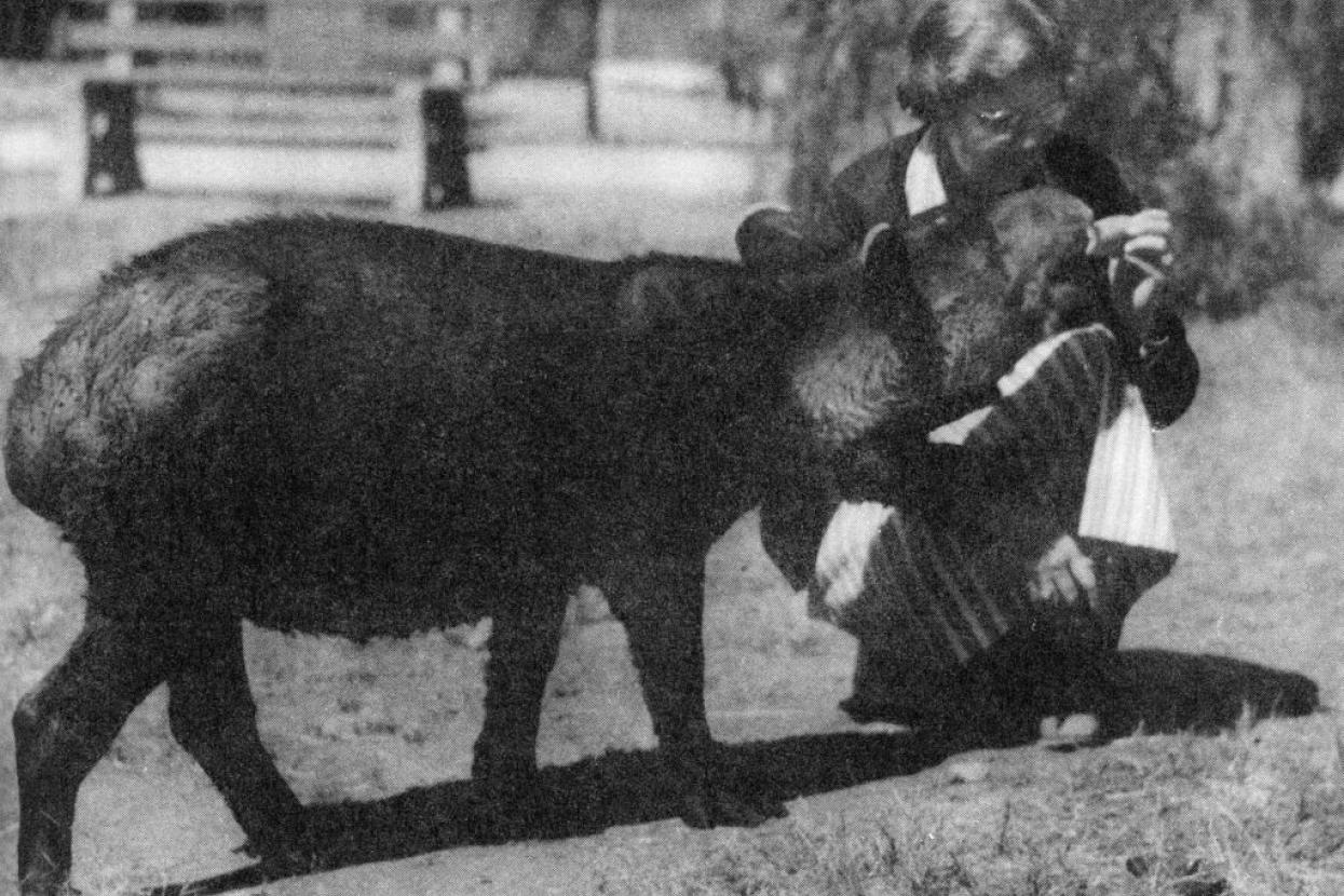 Belle Benchley with tapir