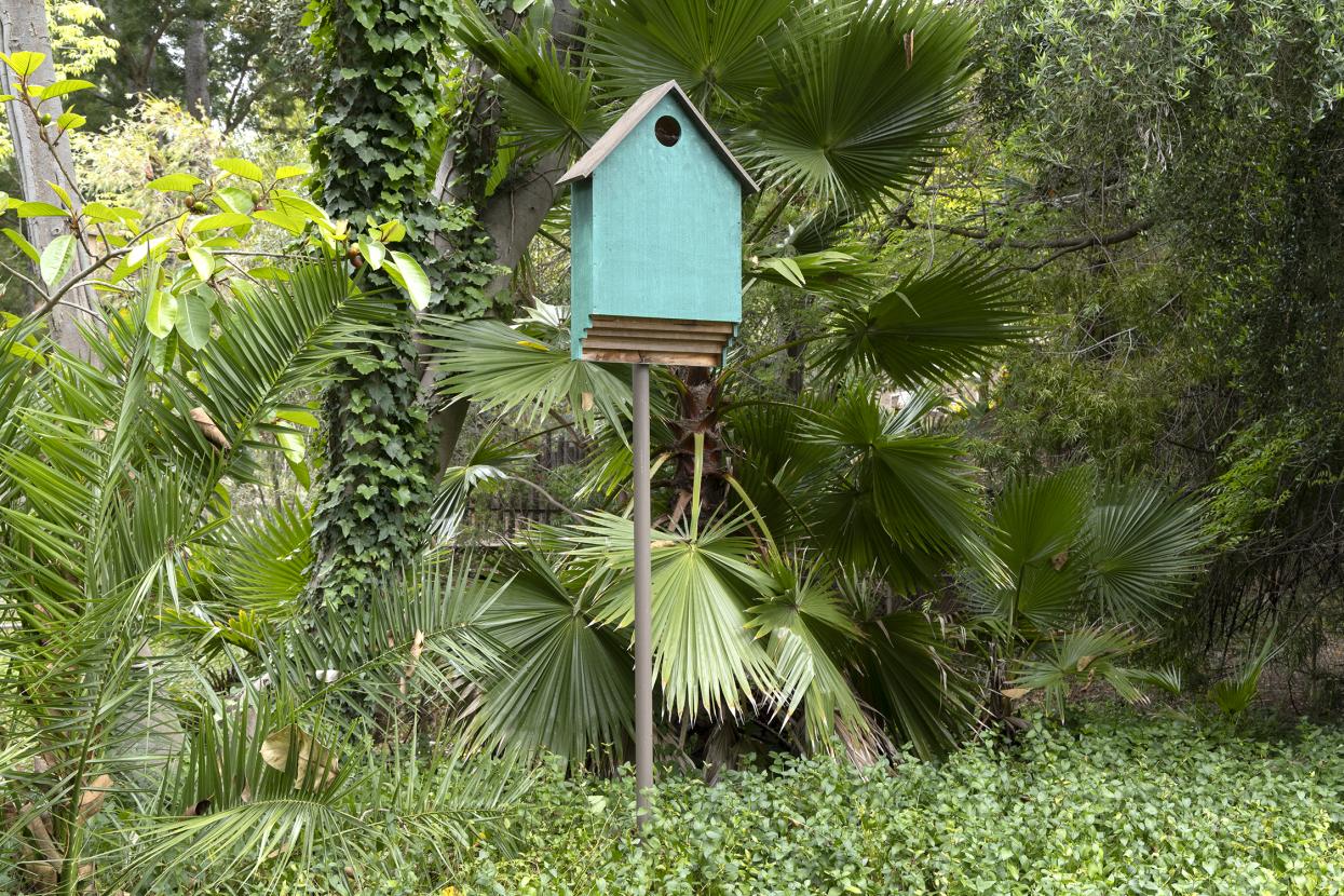Blue bat house in greenery.
