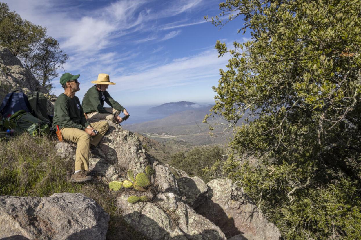 researchers overlooking valley