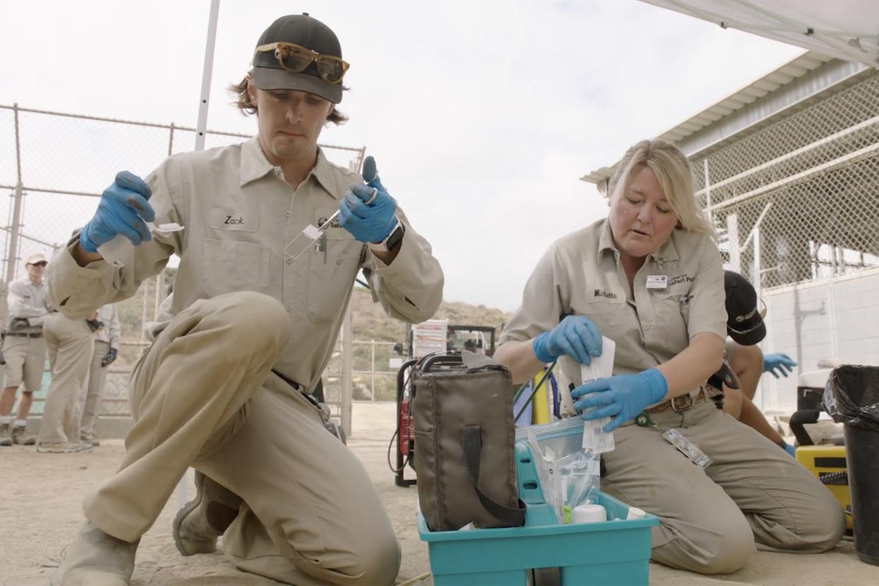RVTs assisting with a procedure outdoors