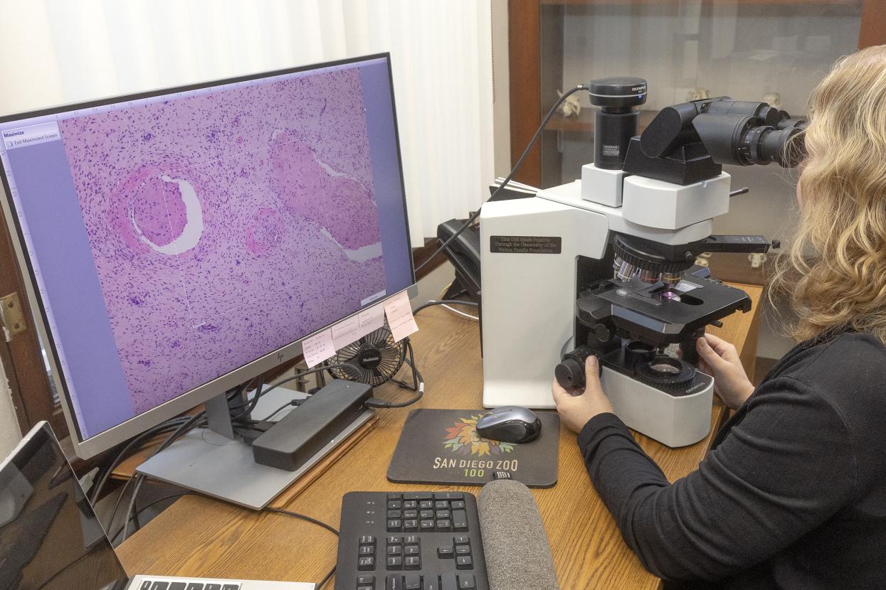 Woman works at microscope
