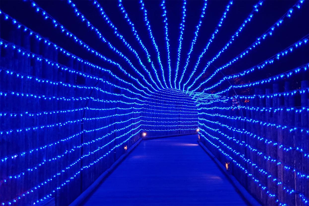 A bridge covered with sparkly lights