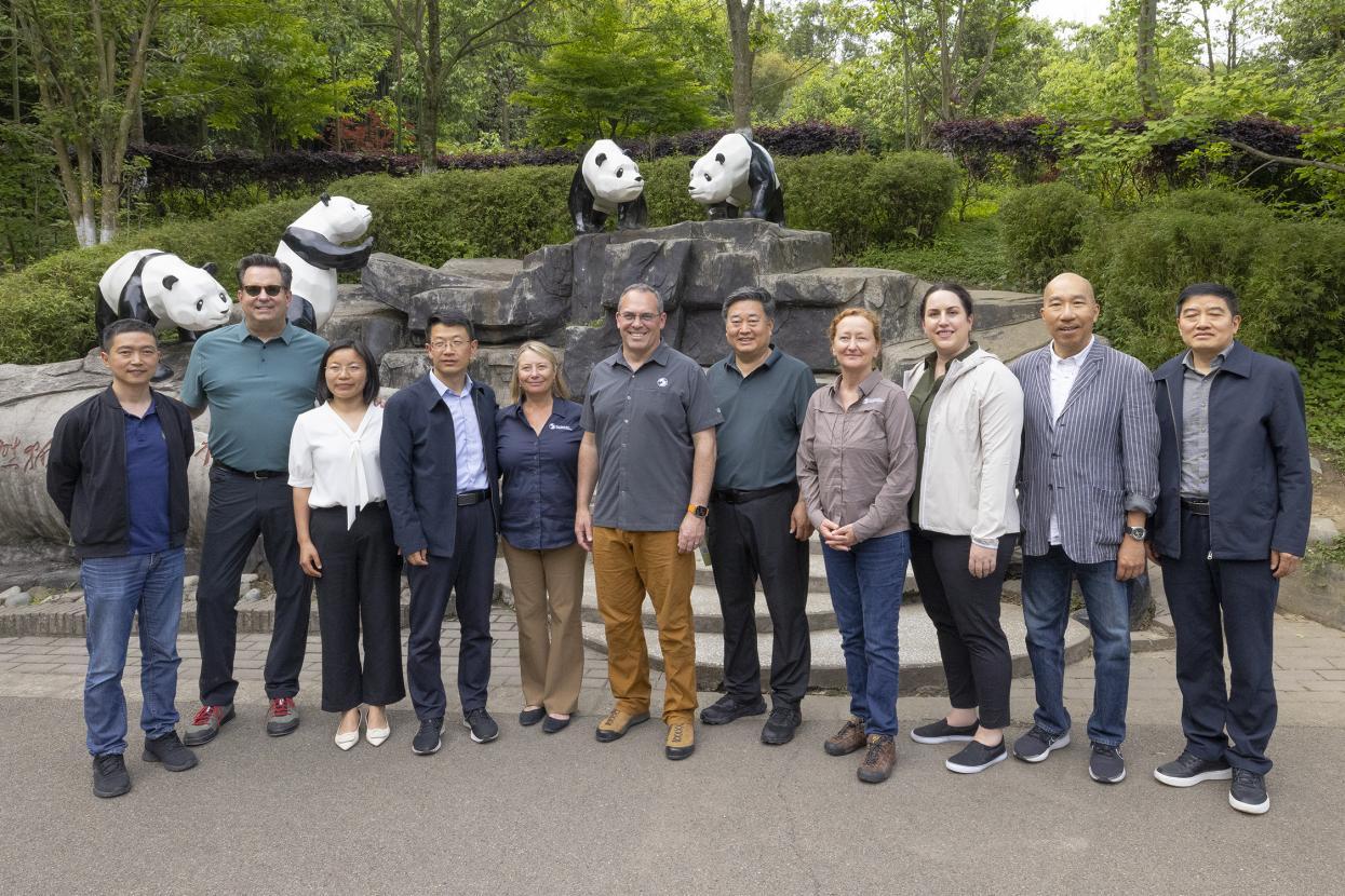 A group of panda conservationists