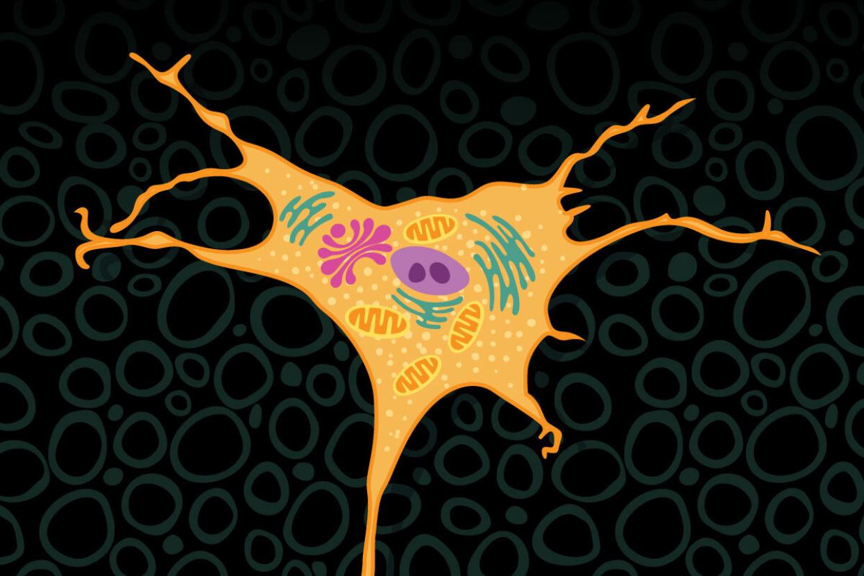 Skin cell illustration