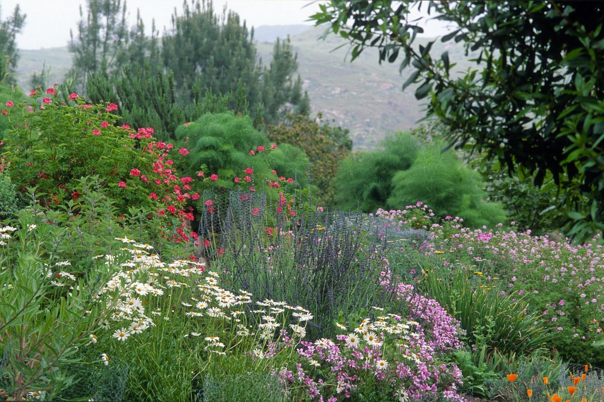 Chandler Herb Garden