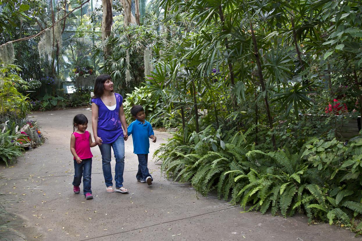 Walking into Hidden Jungle