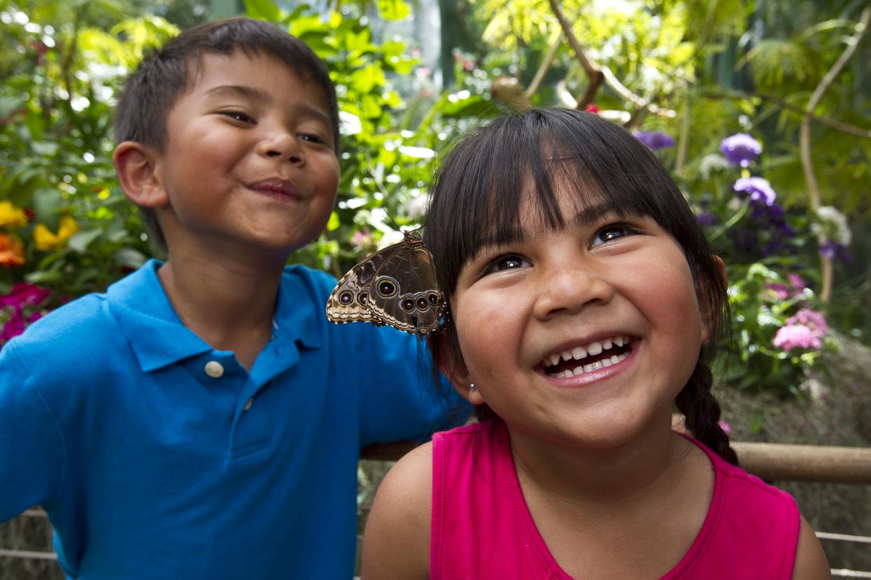 Kids with butterflies