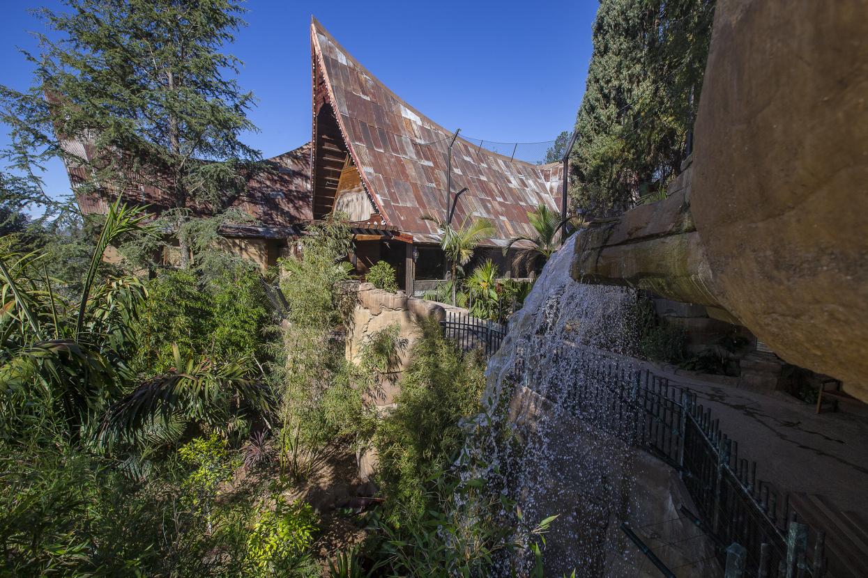 Sambutan Longhouse and Waterfall