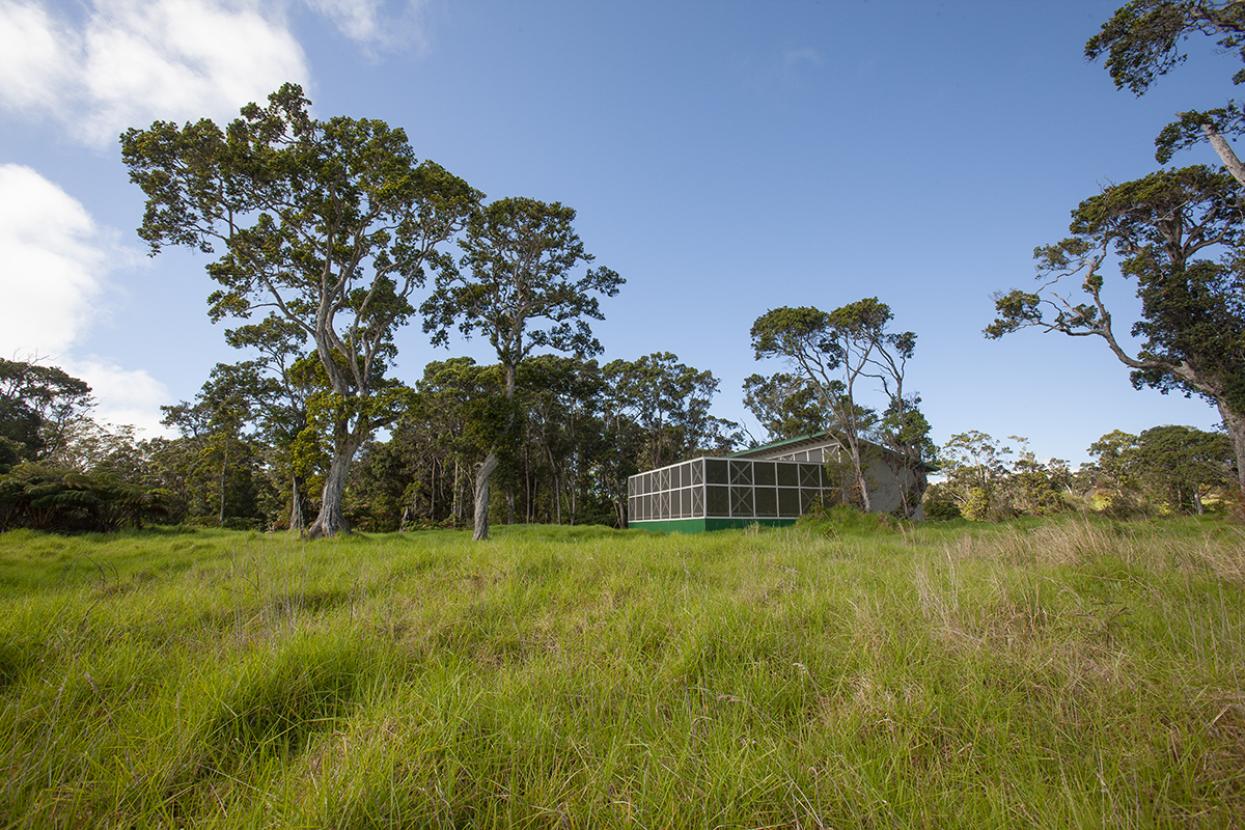 Aviary buildings in Hawaii