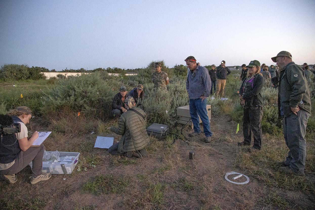 Group of researchers out in the field