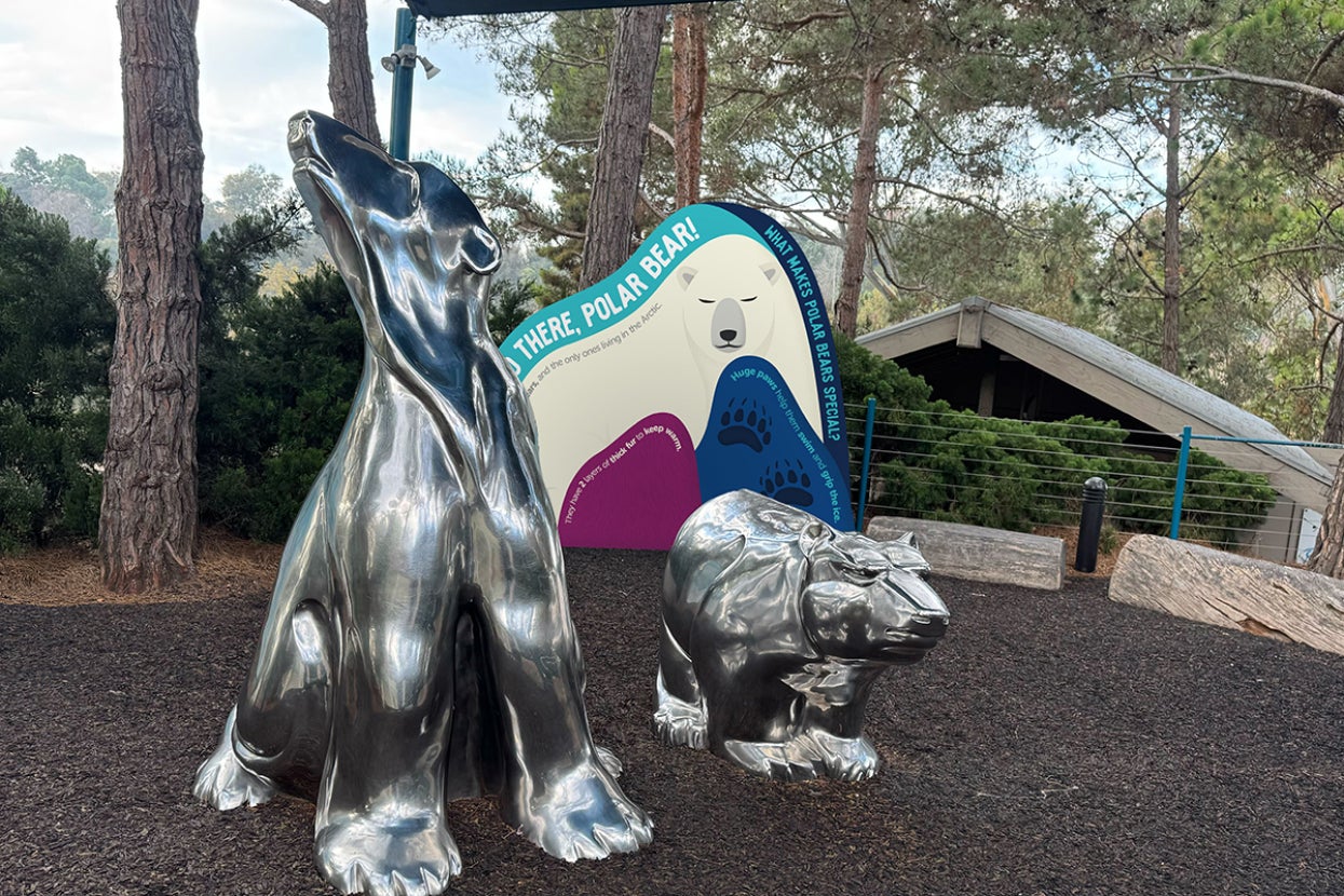 Two polar bear statues with sign