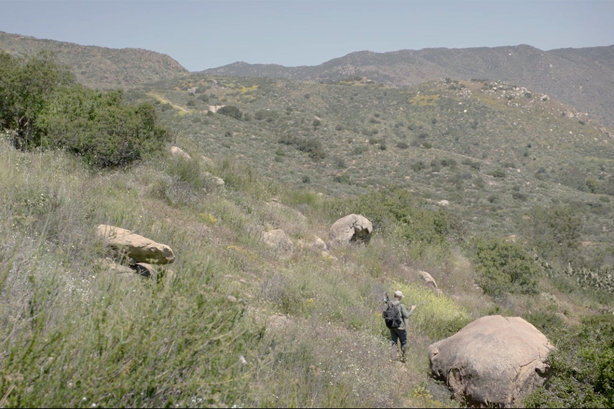 researcher walking through the biodiversity reserve
