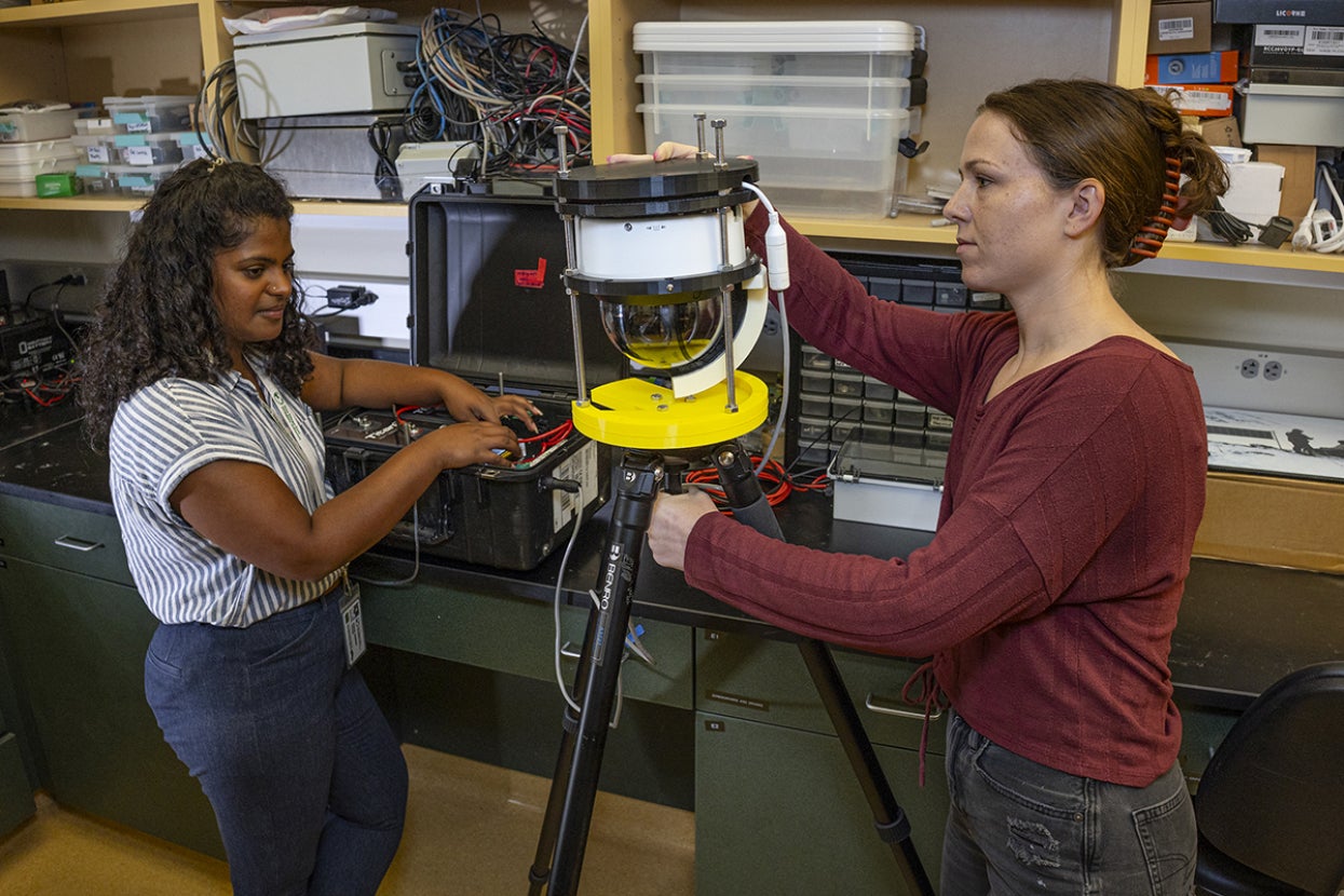 Researchers Sumega Mandadi and Katie Garwood