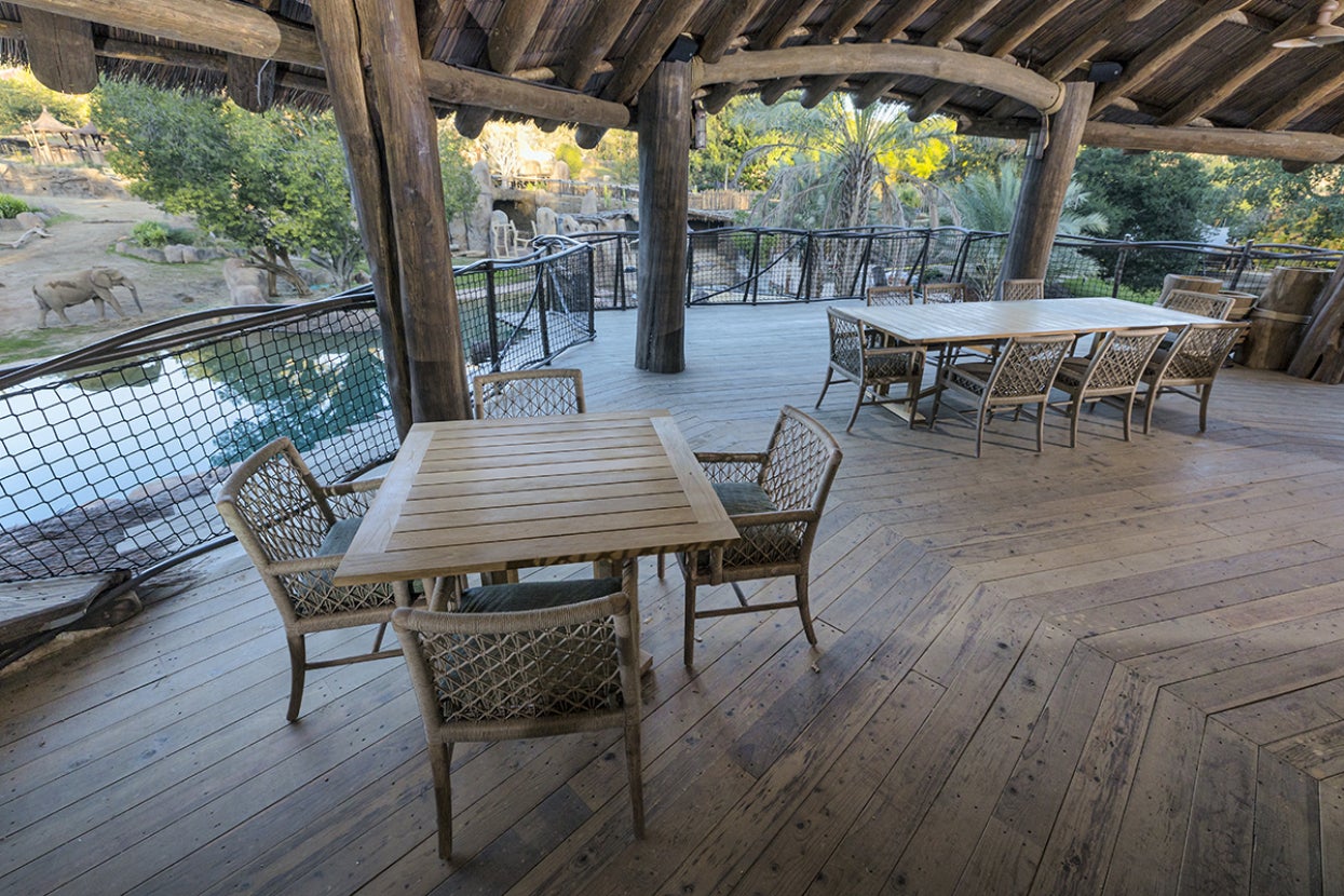 The Android and Stephanie Peterson Veranda