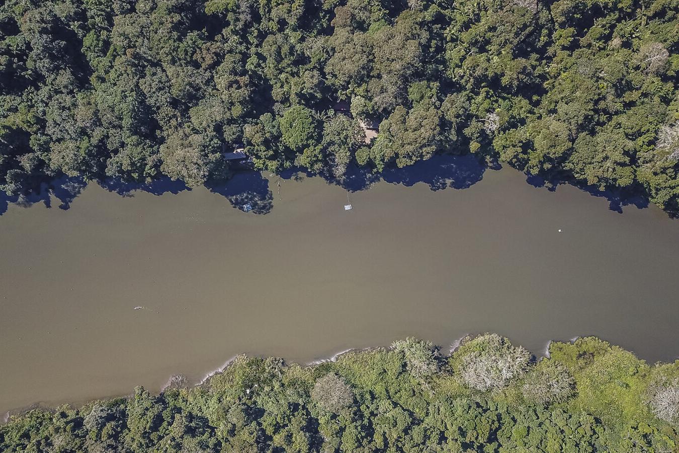 river through rainforest