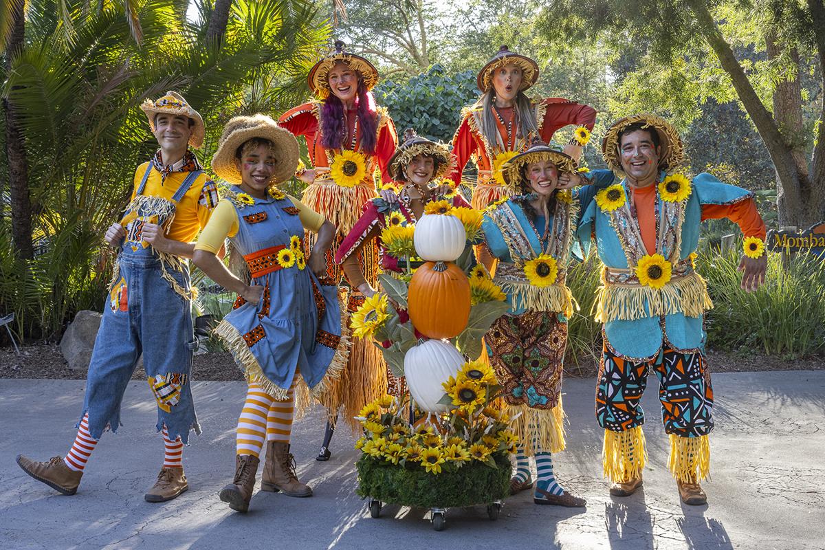 Performers dressed as scarcrows pose with pumpkins and sunflowers.