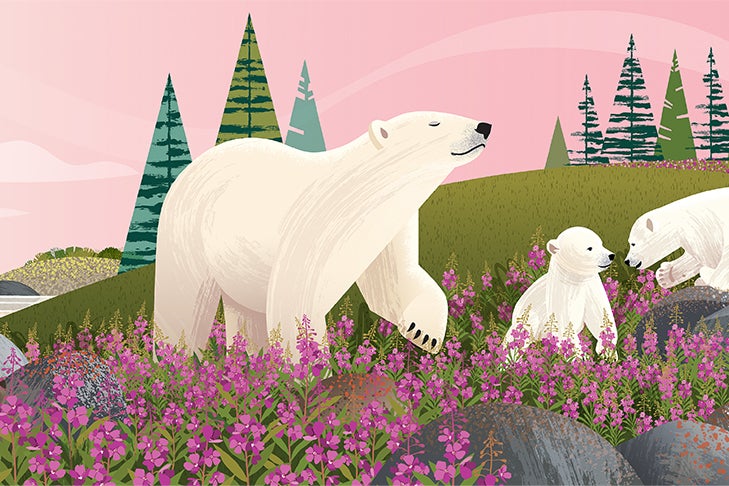 Illustration of polar bears with flowers