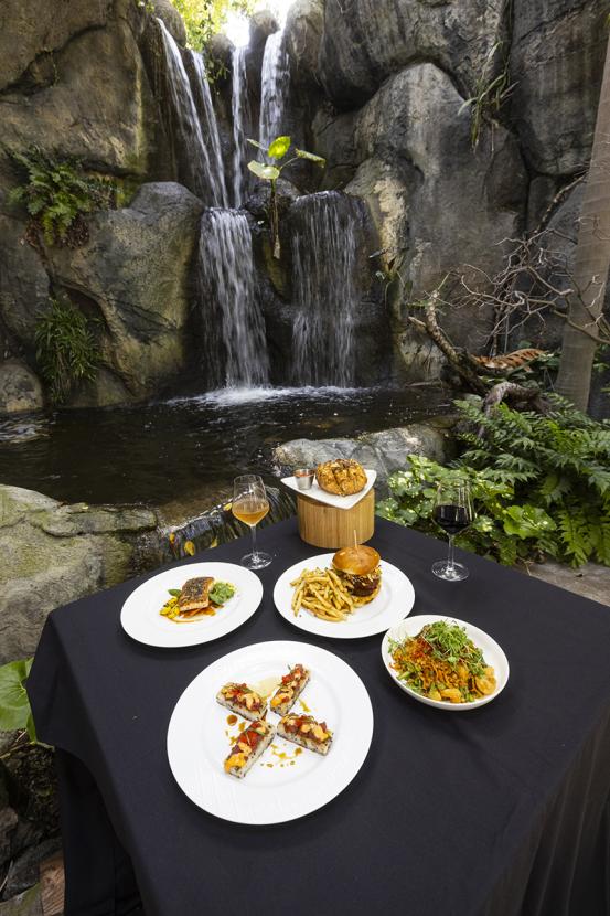 food offerings from Albert's with waterfall in the background