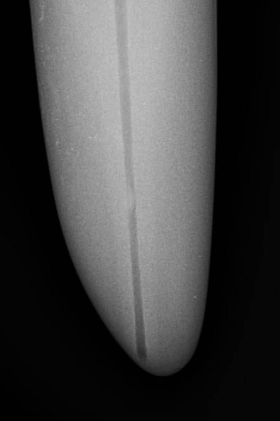 Elephant Tusk Radiograph