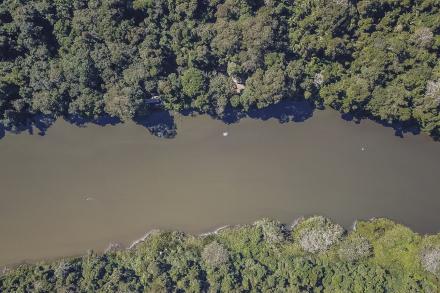 river through rainforest