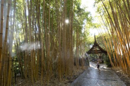 Tiger Trail entrance