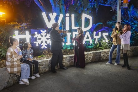 Violin duo playing to small group of guests at a holiday event.