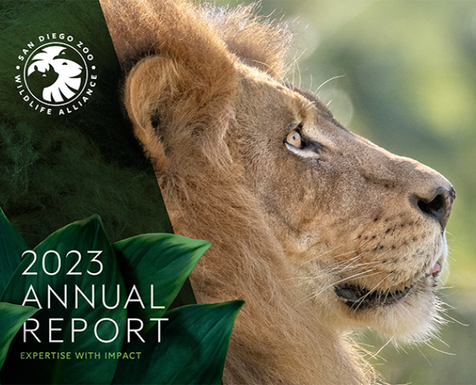 2023 Annual Report