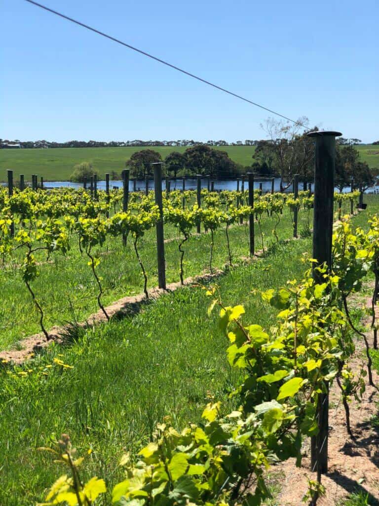 view of jackson brooke winer