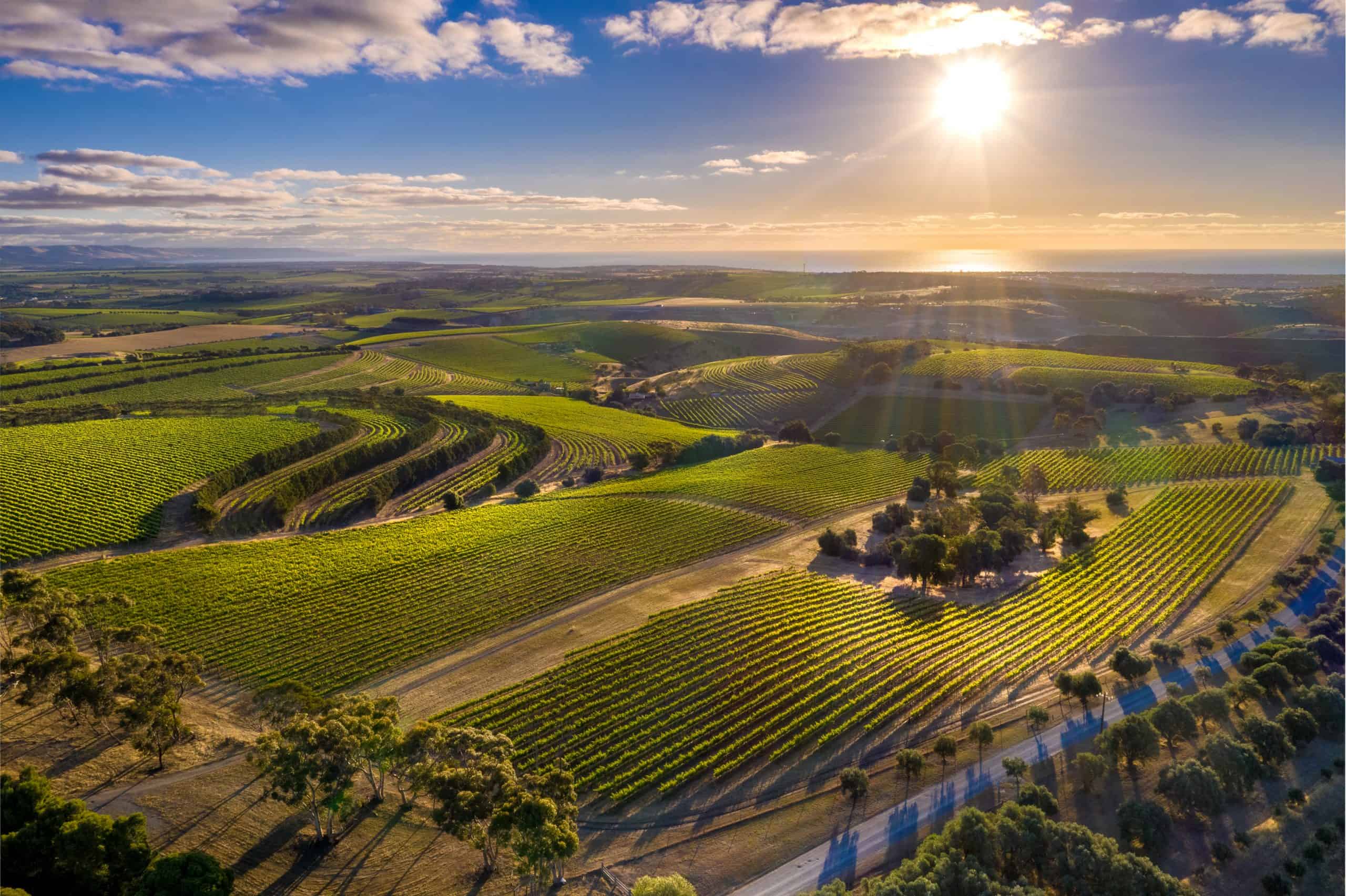 Overhead view of Firehawk Farm in Mclaren vale