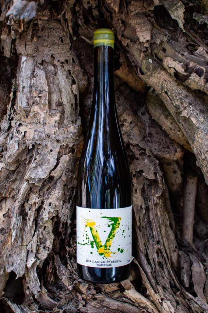 Vanguardist riesling against a wooden tree