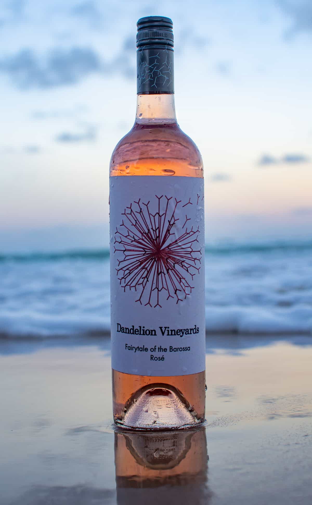 dandelion rose on the beach wuth sun setting