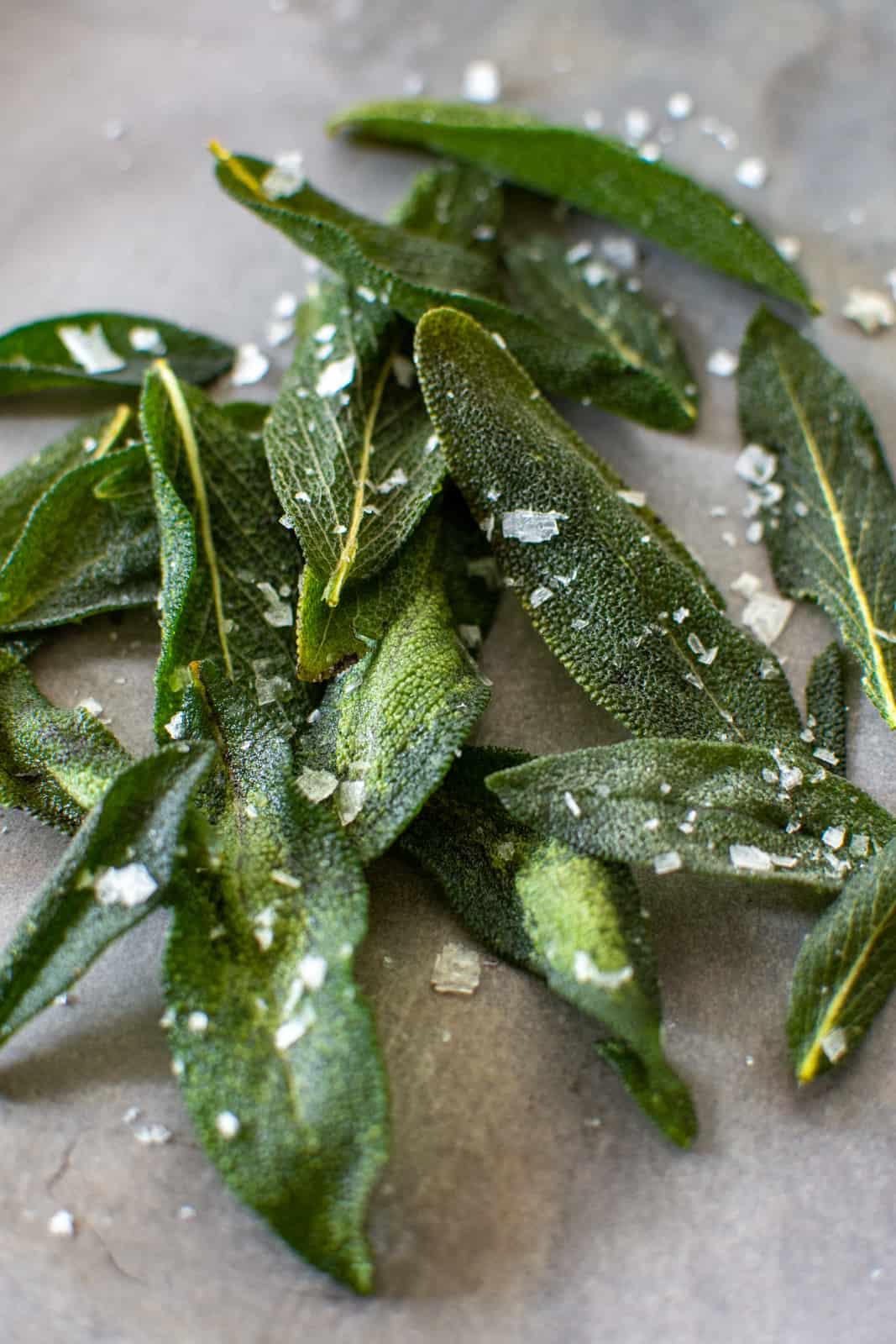 crispy sage on a plate