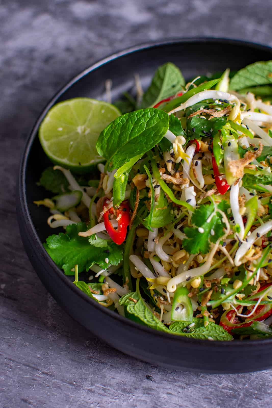 beansprout salad in a bowl